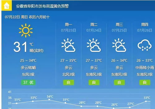 太和县天气预报15天查询百度地图-太和县天气预报15天查询-第3张图片-雾华天气