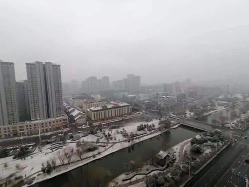 安徽亳州天气预报15天-安徽亳州天气预报15天准确一览表图片大全-第3张图片-雾华天气