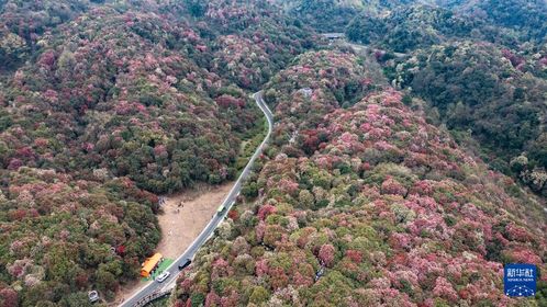 毕节天气预报30天准确-毕节天气预报30天准确 一个月气温多少-第2张图片-雾华天气