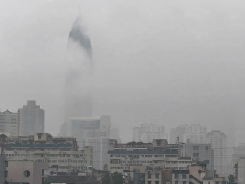 温州天气预报30天准确查询百度-温州天气预报30天准确查询-第1张图片-雾华天气