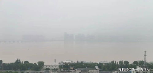 温州天气预报30天准确查询百度-温州天气预报30天准确查询-第2张图片-雾华天气