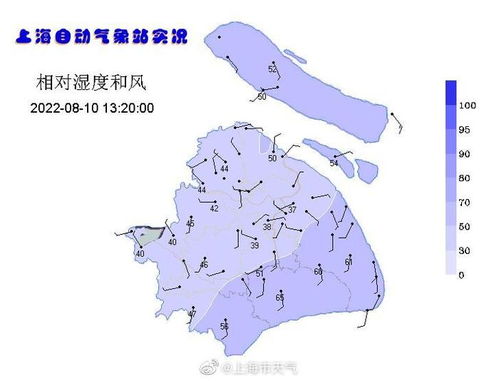上海天气10天25天-上海知天气-第3张图片-雾华天气