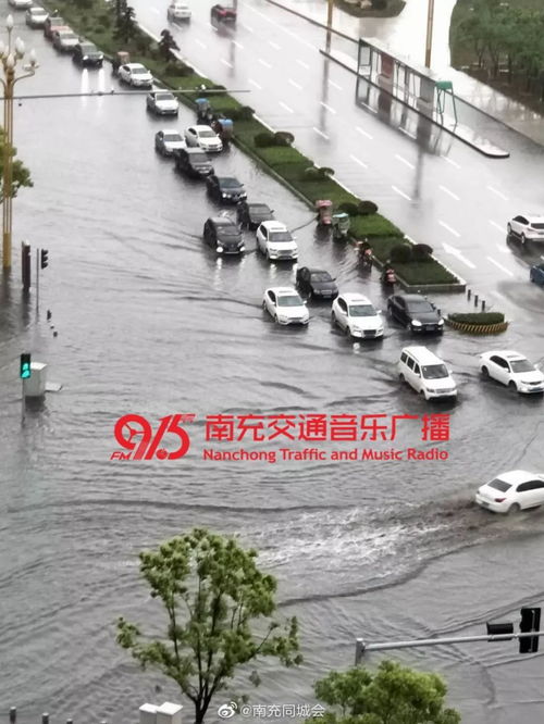 南充天气预报15天查询百度救命药-南充天气预报15天查询-第2张图片-雾华天气