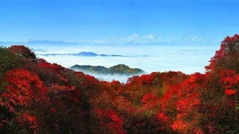 四川峨眉山天气预报7天-峨眉山天气预报7天-第1张图片-雾华天气