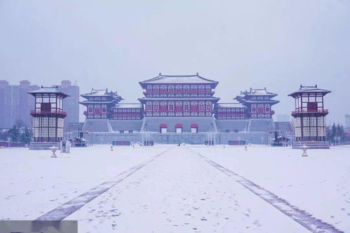 洛阳天气预报10天准确-洛阳天气预报10天准确一周-第2张图片-雾华天气