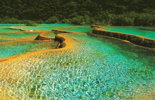 九寨沟天气预报15天景区青海西宁天气-九寨沟天气预报15天景区-第3张图片-雾华天气