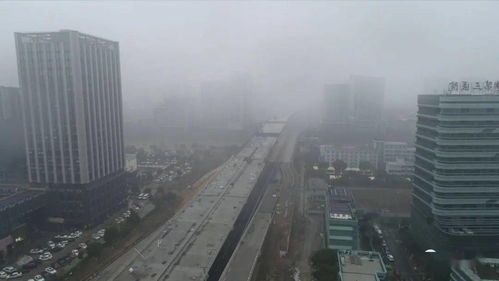 上海临时牌照能上高架吗-上海临时牌照可不可以上高架-第2张图片-雾华天气