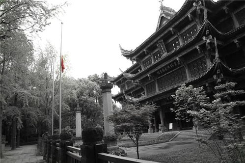 清明节成都限行嘛-清明节成都限行吗-第2张图片-雾华天气