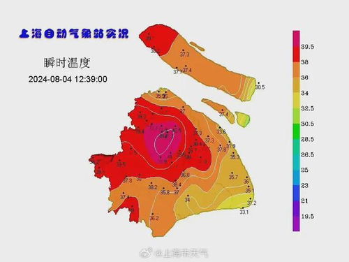 上海一周天气预报七天-上海知天气-第1张图片-雾华天气