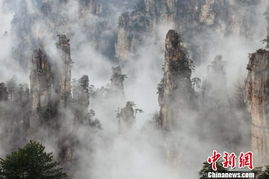 张家界天气预报一周7天张家天子山-张家界天气预报一周7天-第1张图片-雾华天气