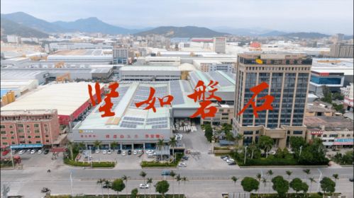 泉州天气预报15天最新消息查询结果是什么-泉州天气预报15天-第2张图片-雾华天气