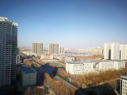 洛阳天气预报30天-洛阳天气预报30天准确度-第3张图片-雾华天气