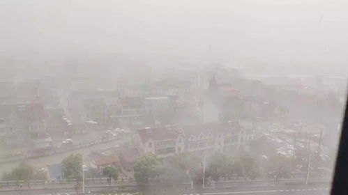 上海 天气预报 台风-上海天气台风最新消息-第1张图片-雾华天气