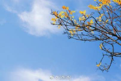 淄博天气预报30天查询结果-淄博天气预报30天-第2张图片-雾华天气