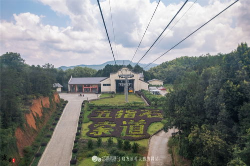 无为天气预报15天查询合肥-无为天气预报15天查询-第3张图片-雾华天气
