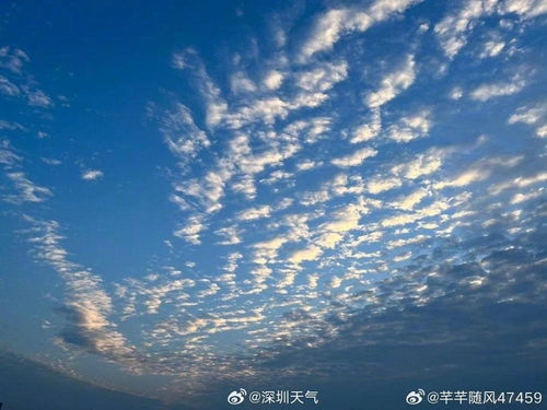 深圳天气30天预报深圳-深圳天气30天预报深圳疫情-第1张图片-雾华天气