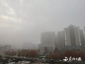 焦作天气预报15天查询百度-焦作天气预报15天-第1张图片-雾华天气