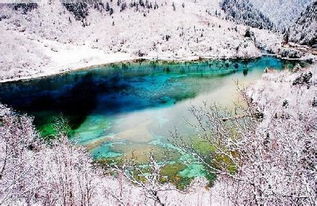 九寨沟天气预报一周天气预报-九寨沟天气预报一周天气-第3张图片-雾华天气