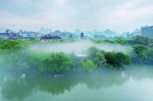 广西天气7天查询-广西气象台七天内天气-第3张图片-雾华天气