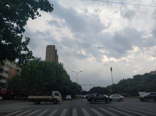 洛阳近七天天气预报-洛阳未来七天天气预报查询-第2张图片-雾华天气