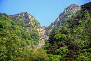 山东泰安天气预报一周-山东泰安天气预报七天-第1张图片-雾华天气