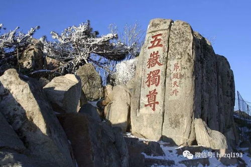 山东泰安天气预报一周-山东泰安天气预报七天-第3张图片-雾华天气