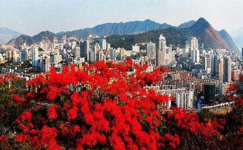 丽攀高速最新消息-丽攀高速最新消息2021-第2张图片-雾华天气