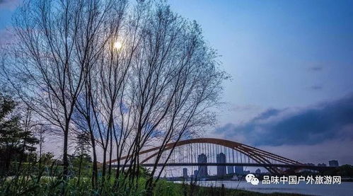 万盛天气预报一周-万盛天气预报一周15天查询-第1张图片-雾华天气