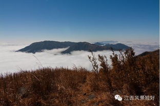 万盛天气预报一周-万盛天气预报一周15天查询-第3张图片-雾华天气