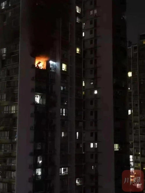 宜宾车辆限号限行时间-宜宾车辆限号限行时间是几点-第3张图片-雾华天气