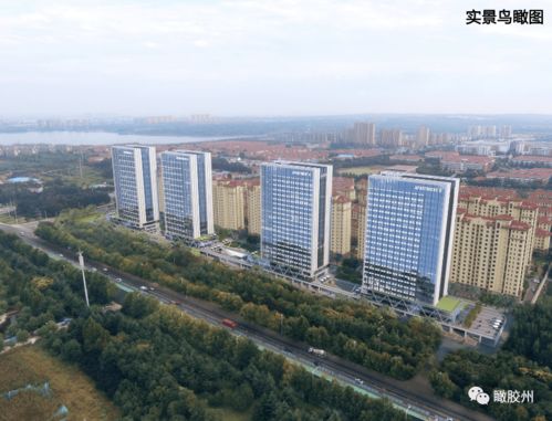 胶州地区天气预报-胶州市天气预报十五天-第1张图片-雾华天气