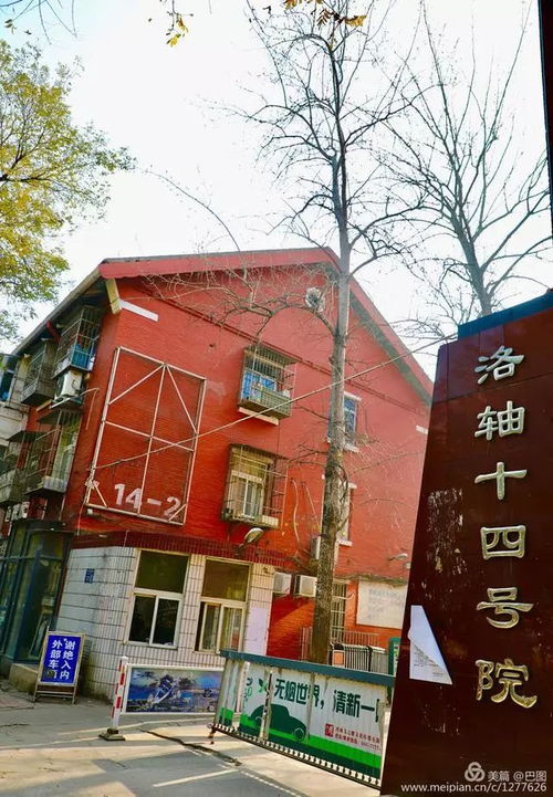 郑州限号抓拍几率大吗-郑州限号被拍机率-第1张图片-雾华天气