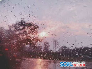 今天上海天气暴雨-上海今天暴雨情况-第1张图片-雾华天气