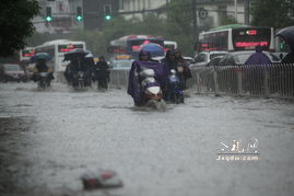 今天上海天气暴雨-上海今天暴雨情况-第3张图片-雾华天气