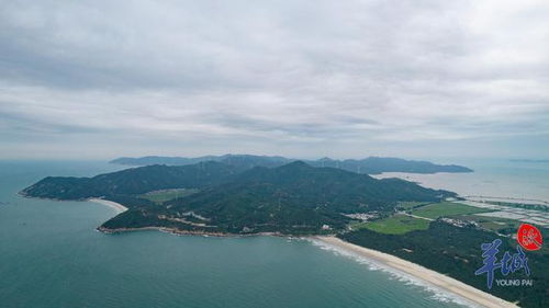 江门天气预报未来七天-江门天气预报15天-第1张图片-雾华天气