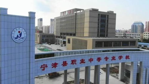 德州天气预报15天查询-德州天气预报15天查询气-第1张图片-雾华天气