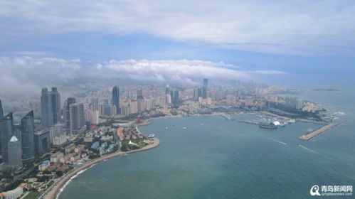 青岛未来15天天气预报-青岛未来15天天气预报情况查询-第1张图片-雾华天气