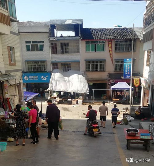 江津天气预报一周天气查询-江津天气预报一周天气-第1张图片-雾华天气