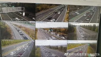 武安市今天限行车尾号是什么-武安市今天限号查询-第2张图片-雾华天气