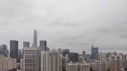 深圳天气预报24小时-深圳天气预报24小时详情软件-第1张图片-雾华天气