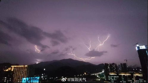 深圳天气预报24小时-深圳天气预报24小时详情软件-第3张图片-雾华天气
