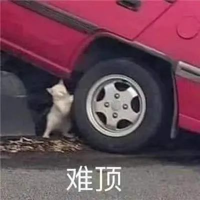 北京明天暴雨将至-北京明天天气暴雨预警-第2张图片-雾华天气