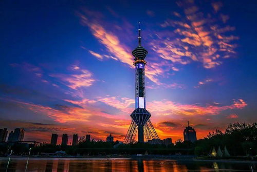 石家庄今天限几号-石家庄今天限几号呀-第3张图片-雾华天气