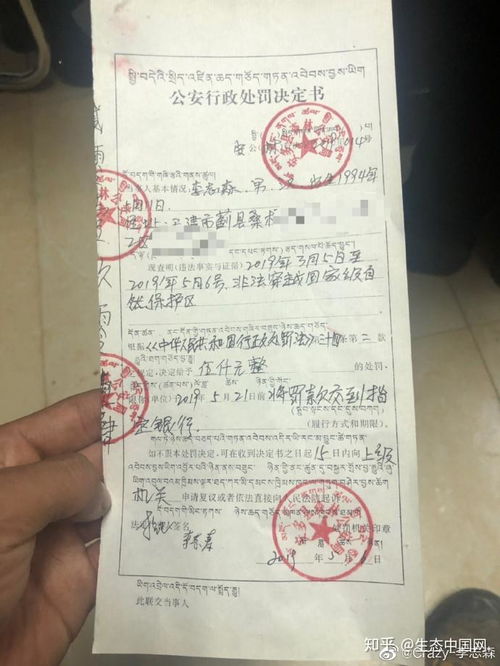 限号出行-限号出行处罚标准最新-第3张图片-雾华天气