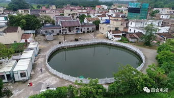 肇庆天气预报15天查询表格-肇庆天气预报15天-第2张图片-雾华天气