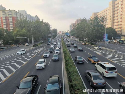 本月限行尾号北京-限行尾号北京-第3张图片-雾华天气
