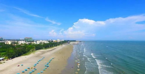 广西北海天气预报15天查询结果气-广西北海天气预报15天-第1张图片-雾华天气