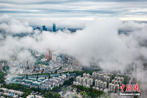 南京10天内天气预报-南京10天天气预报精确-第2张图片-雾华天气