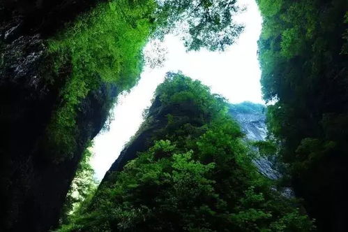 甘肃西峰天气预报30天查询-甘肃西峰天气预报-第2张图片-雾华天气