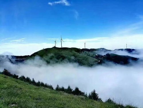 贵州天气预报一周7天查询结果-贵州天气预报一周7天-第2张图片-雾华天气